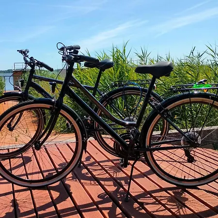 Dutch For 6 People, Close To The Sea, Azy Holiday home Lazy (West Pomeranian)